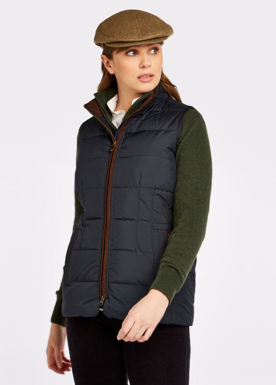 Dubarry kvinner spiddal vattert gilet 8ZDB8222 klær marine multi Dubarry kvinner spiddal vattert gilet 8ZDB8222 klær marine multi